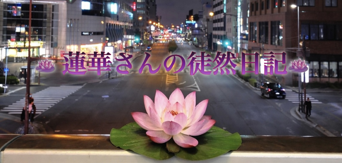 🪷蓮華さんの徒然日記🪷